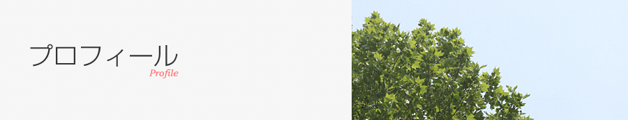 プロフィール1